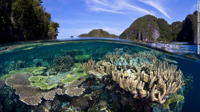Survei CNN: Rajaampat dan Pulau Komodo Destinasi Snorkeling Terbaik Sejagat